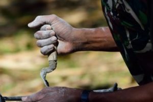 aluguel-de-cacamba-de-entulho-Parrela-Cacambas-SP